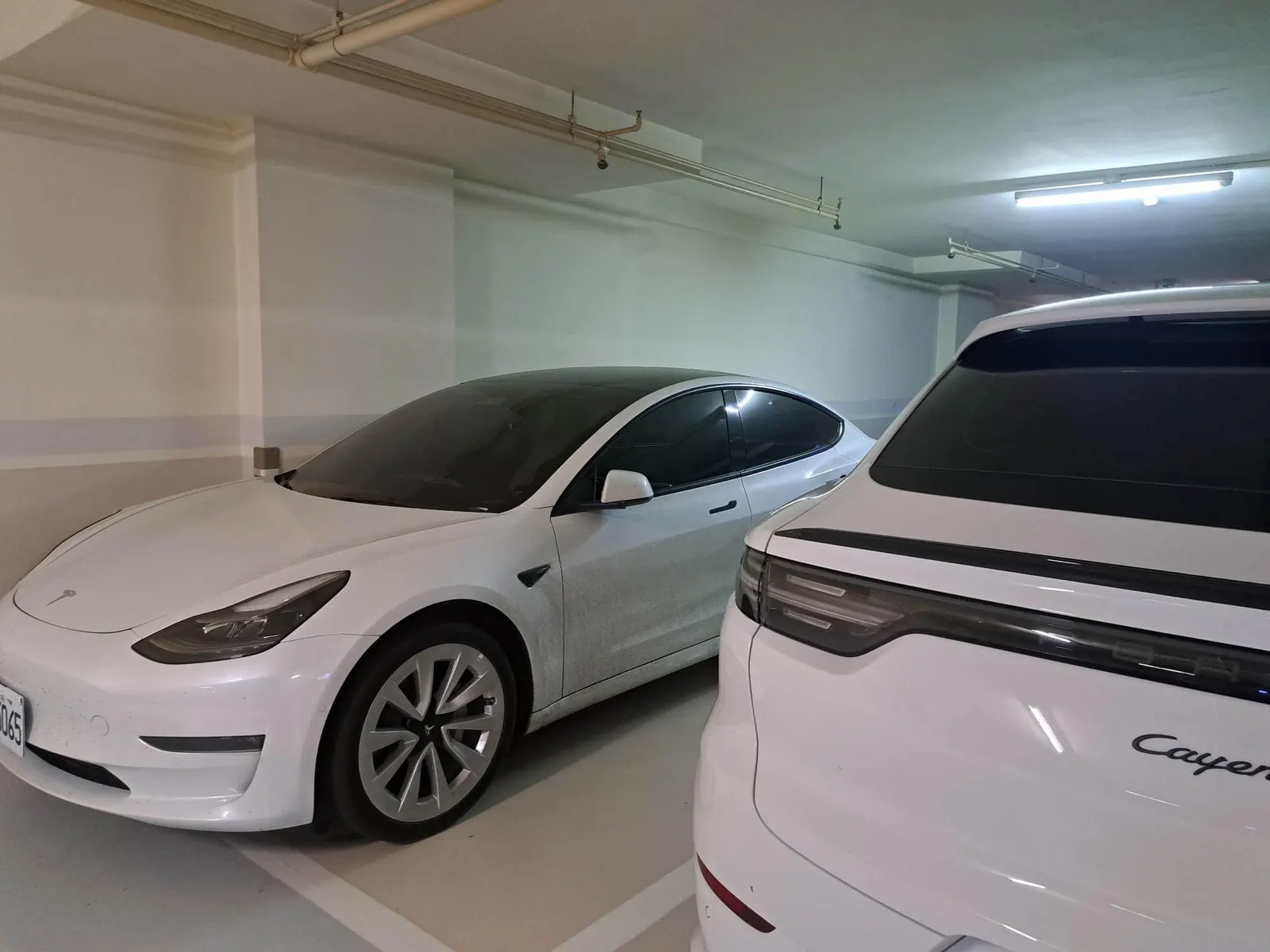 Tesla Model 3 LR 照片 1