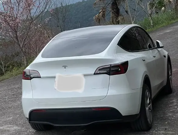 Tesla Model Y LR
