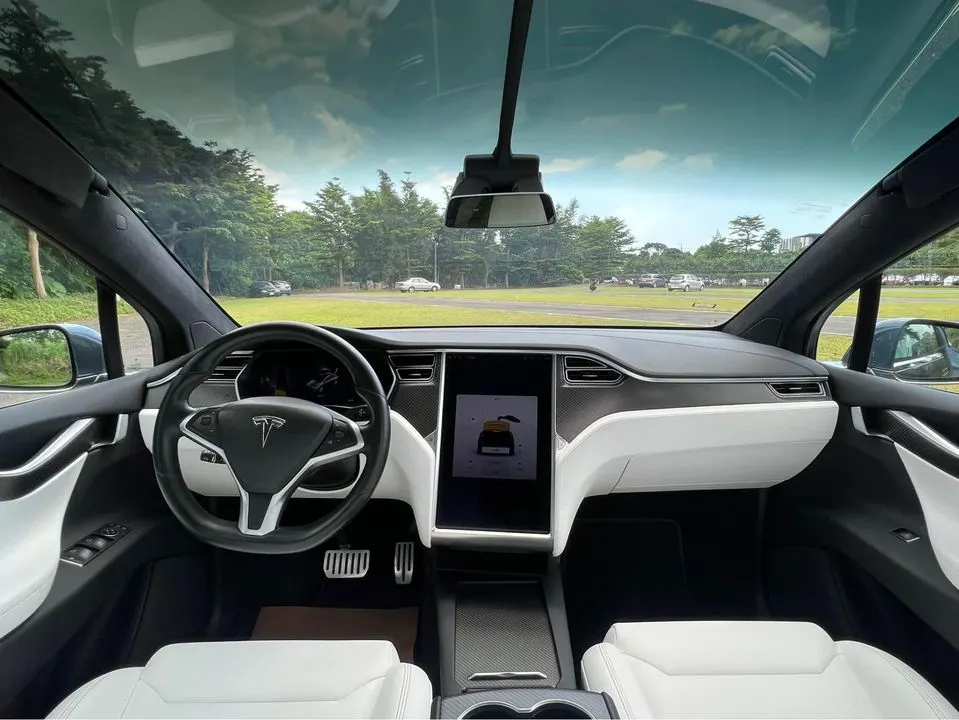 Tesla Model X P100DL 照片 1