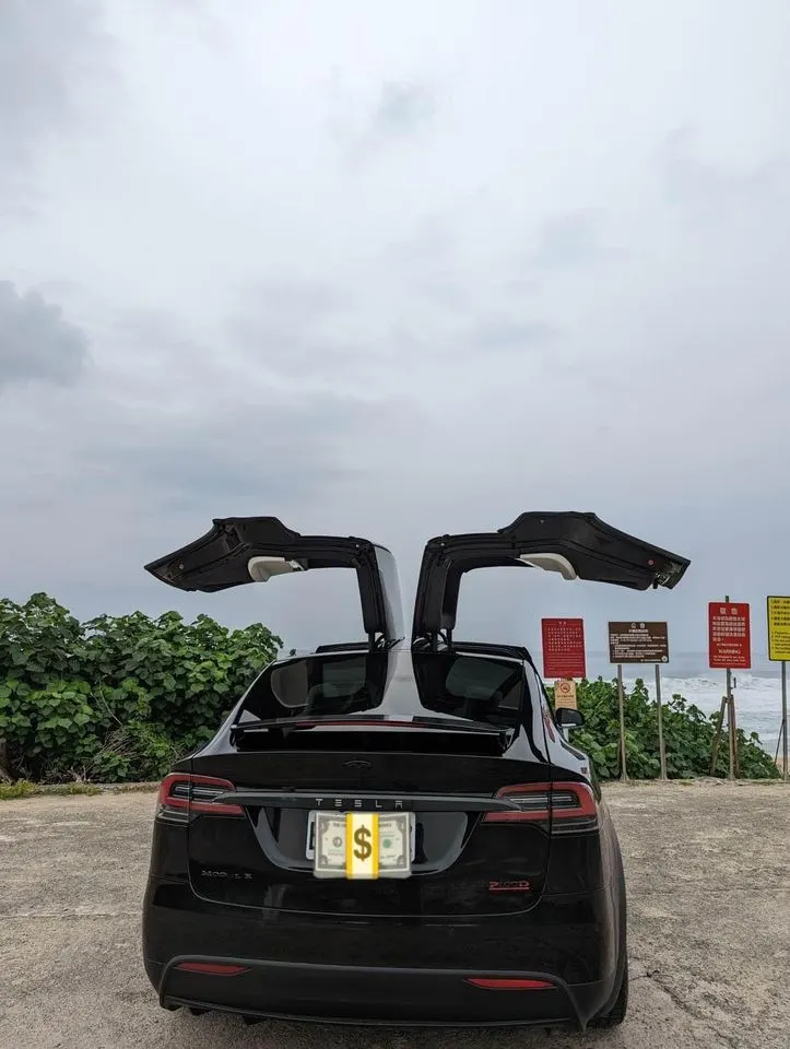 Tesla Model X 100D