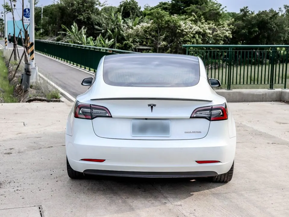 Tesla Model 3 Performance 照片 1