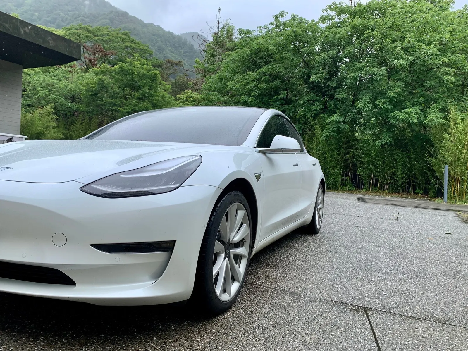 Tesla Model 3 LR 照片 1