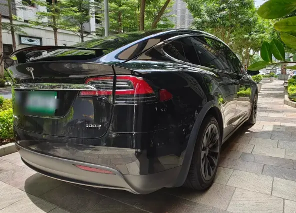 Tesla Model X 100D 照片 1