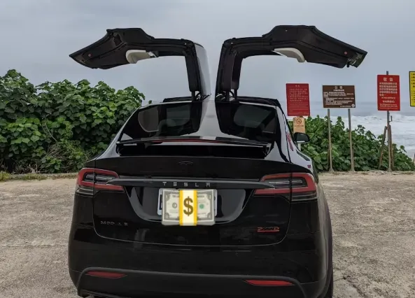 Tesla Model X 100D 照片 1