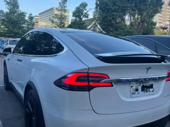 Tesla Model X LR 照片 1