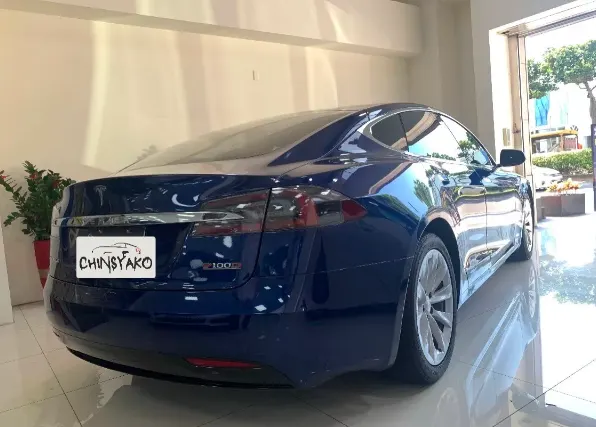 Tesla Model S P100D 照片 1