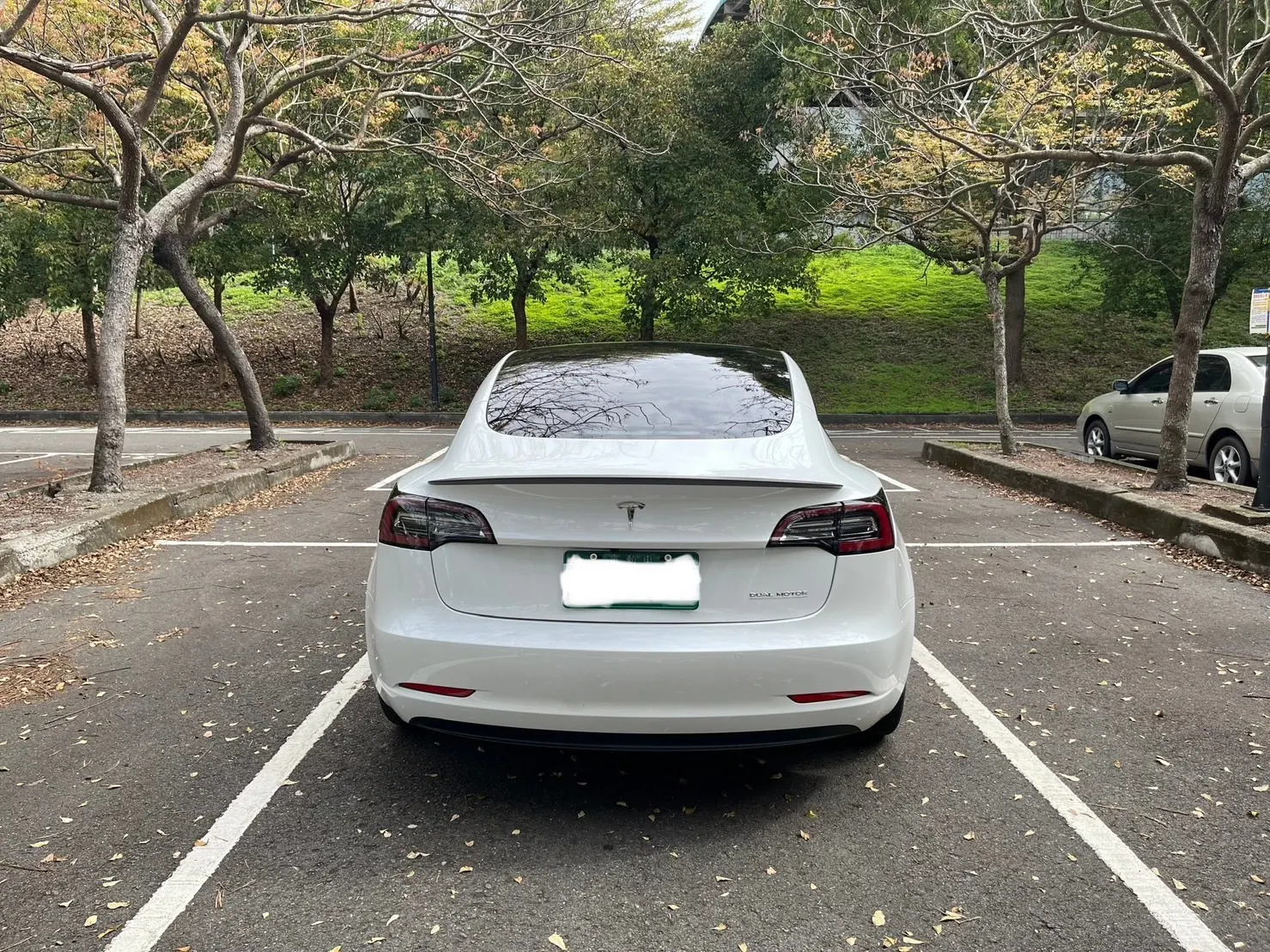 Tesla Model 3 Performance 照片 1