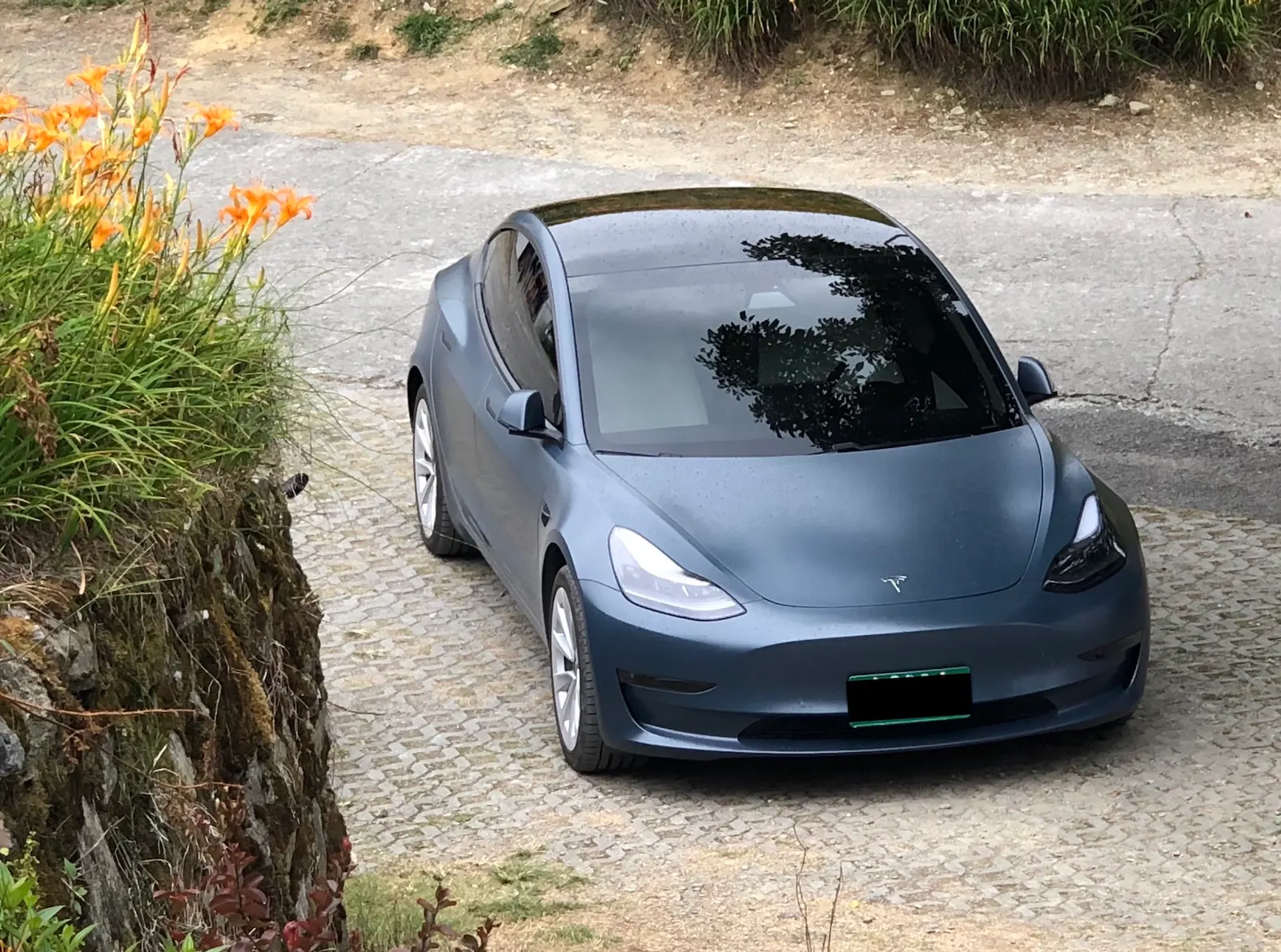 Tesla Model 3 LR 照片 1