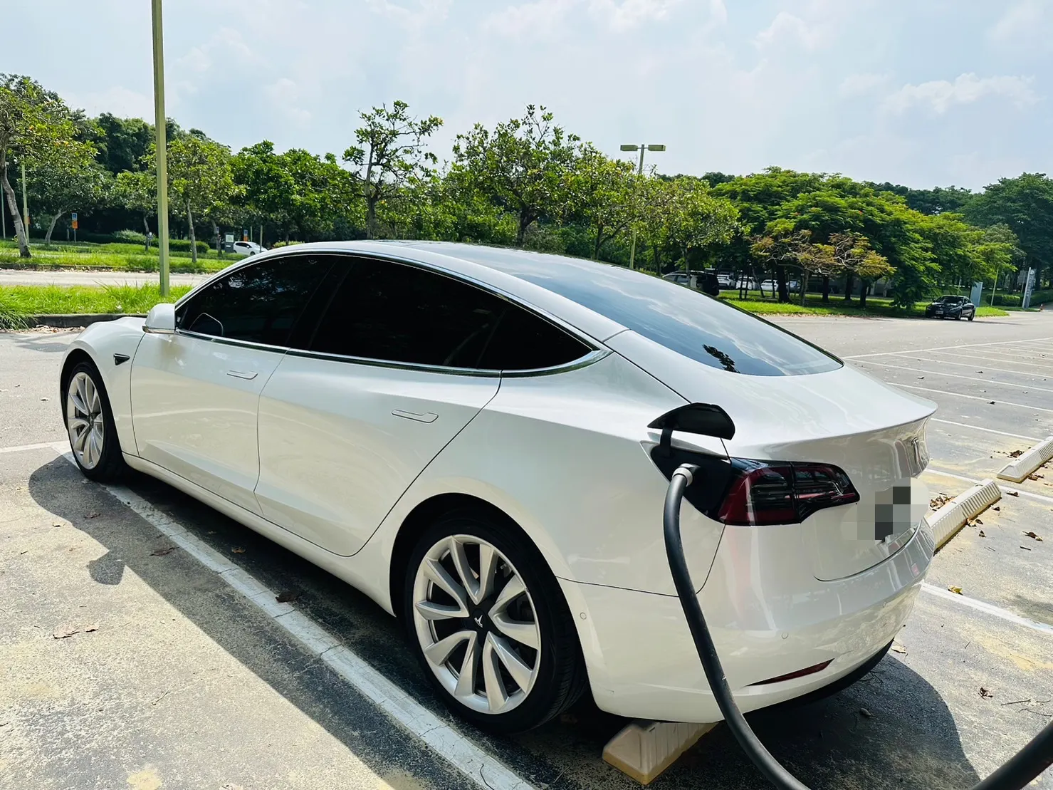 Tesla Model 3 LR 照片 1
