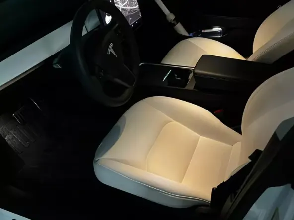 Tesla Model 3 LR 照片 1