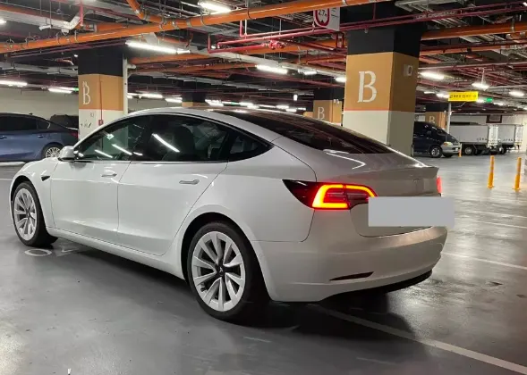 Tesla Model 3 LR 照片 1