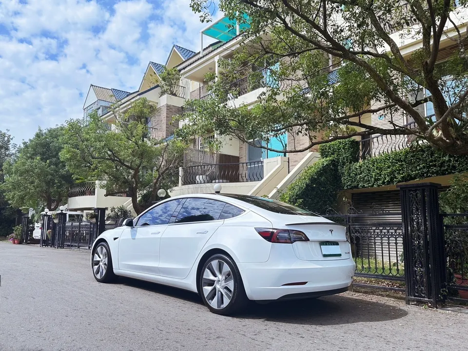Tesla Model 3 Performance