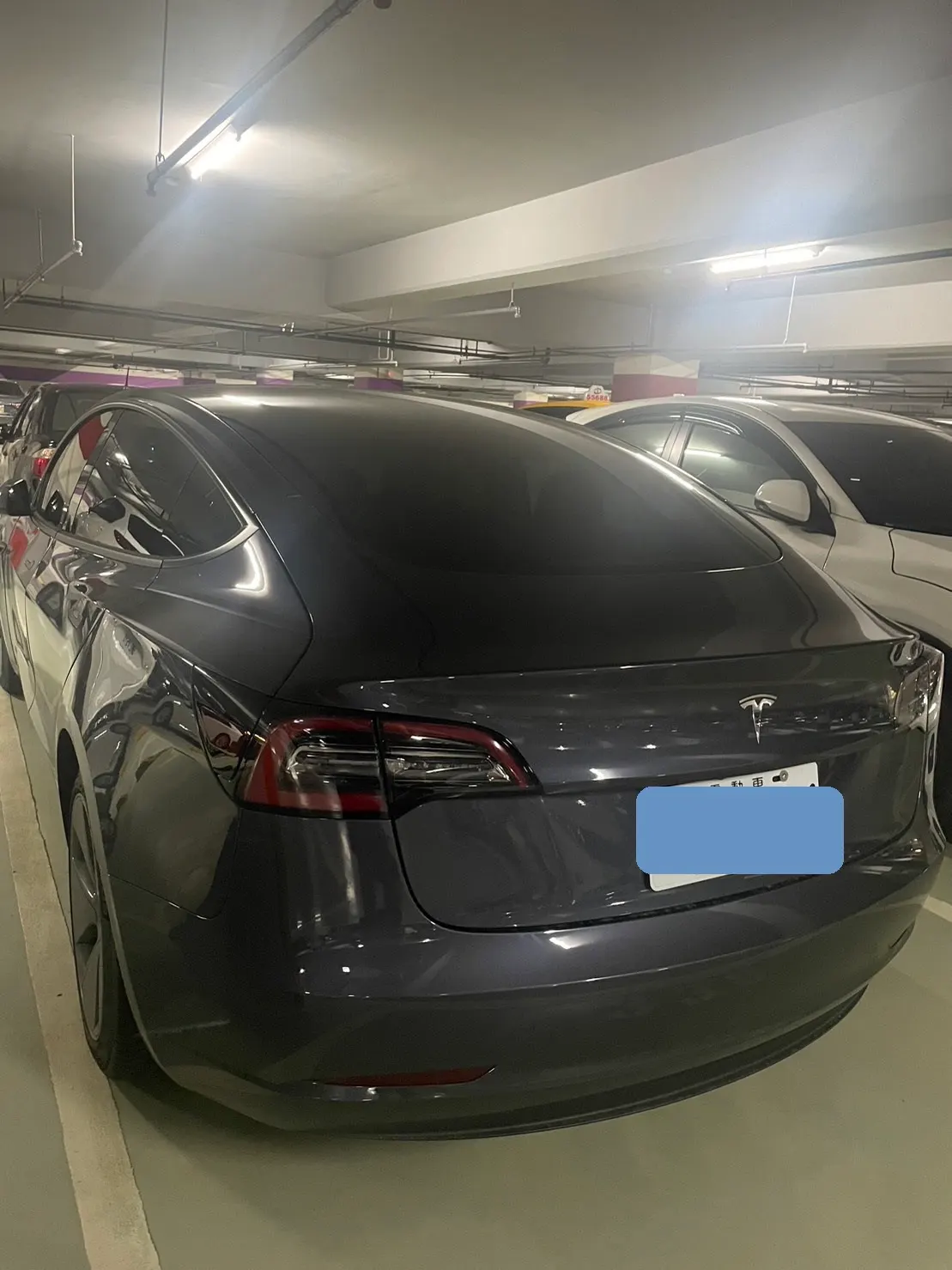 Tesla Model 3 LFP 照片 1