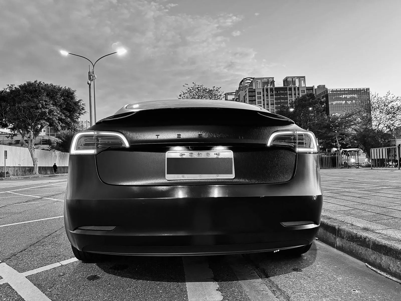 Tesla Model 3 LR 照片 1
