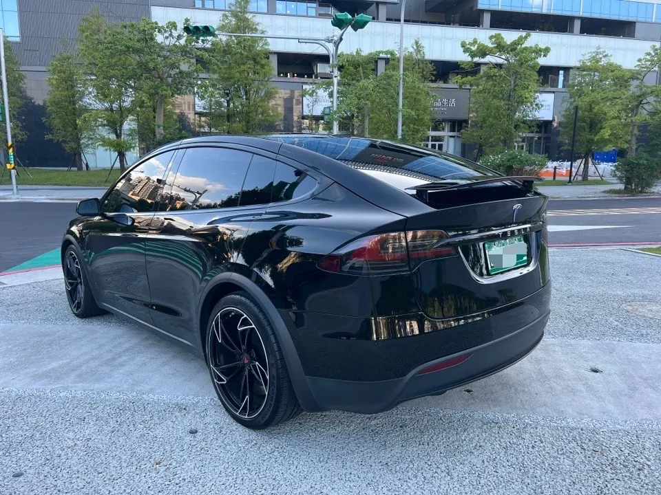 Tesla Model X 100D 照片 1