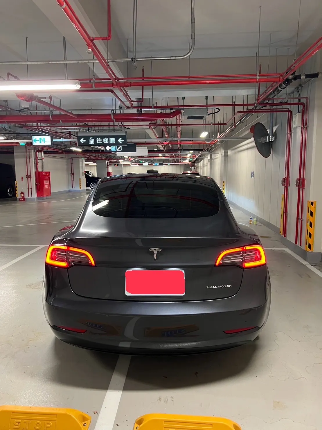 Tesla Model 3 LR 照片 1