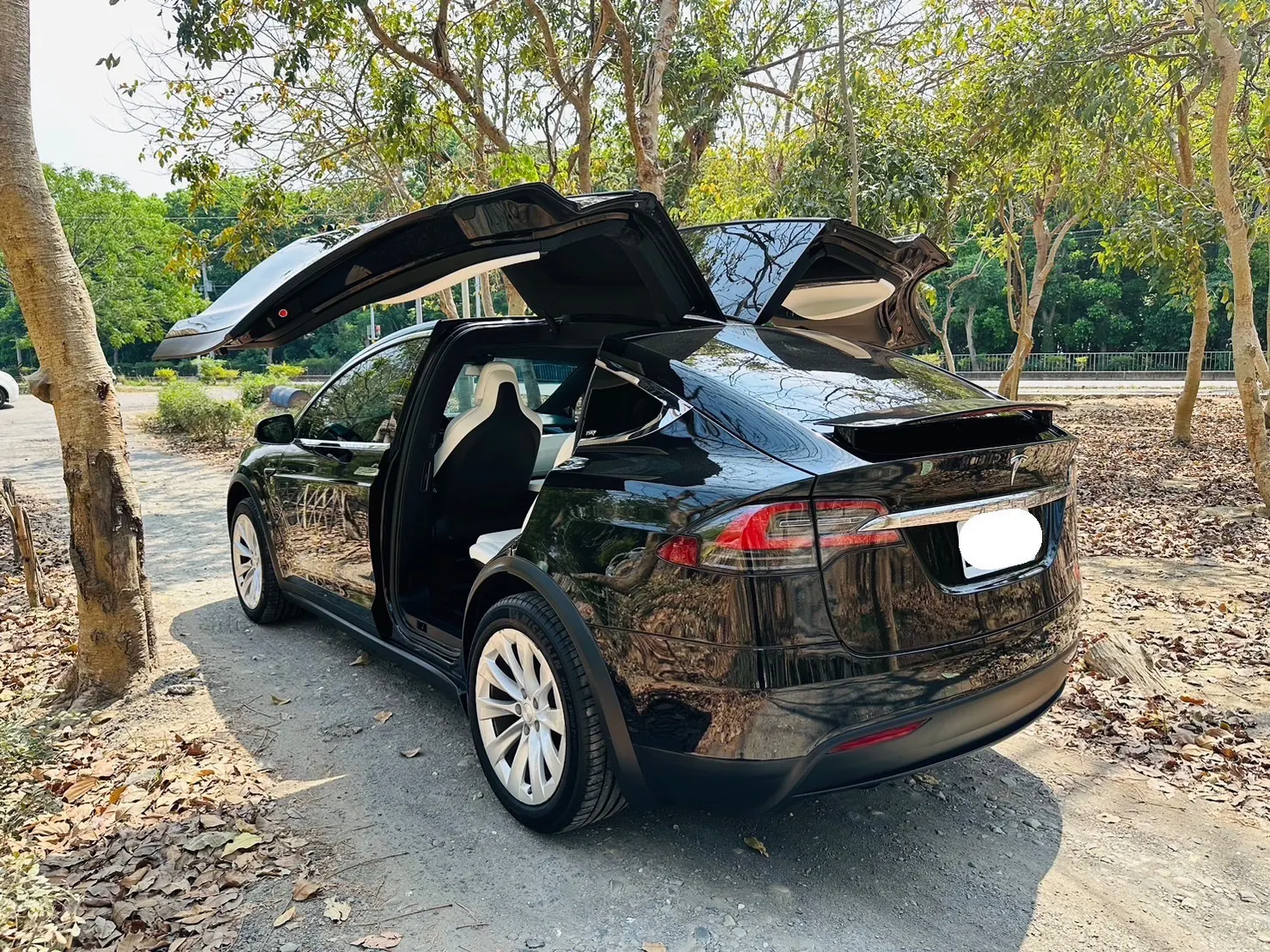 Tesla Model X LR 照片 1