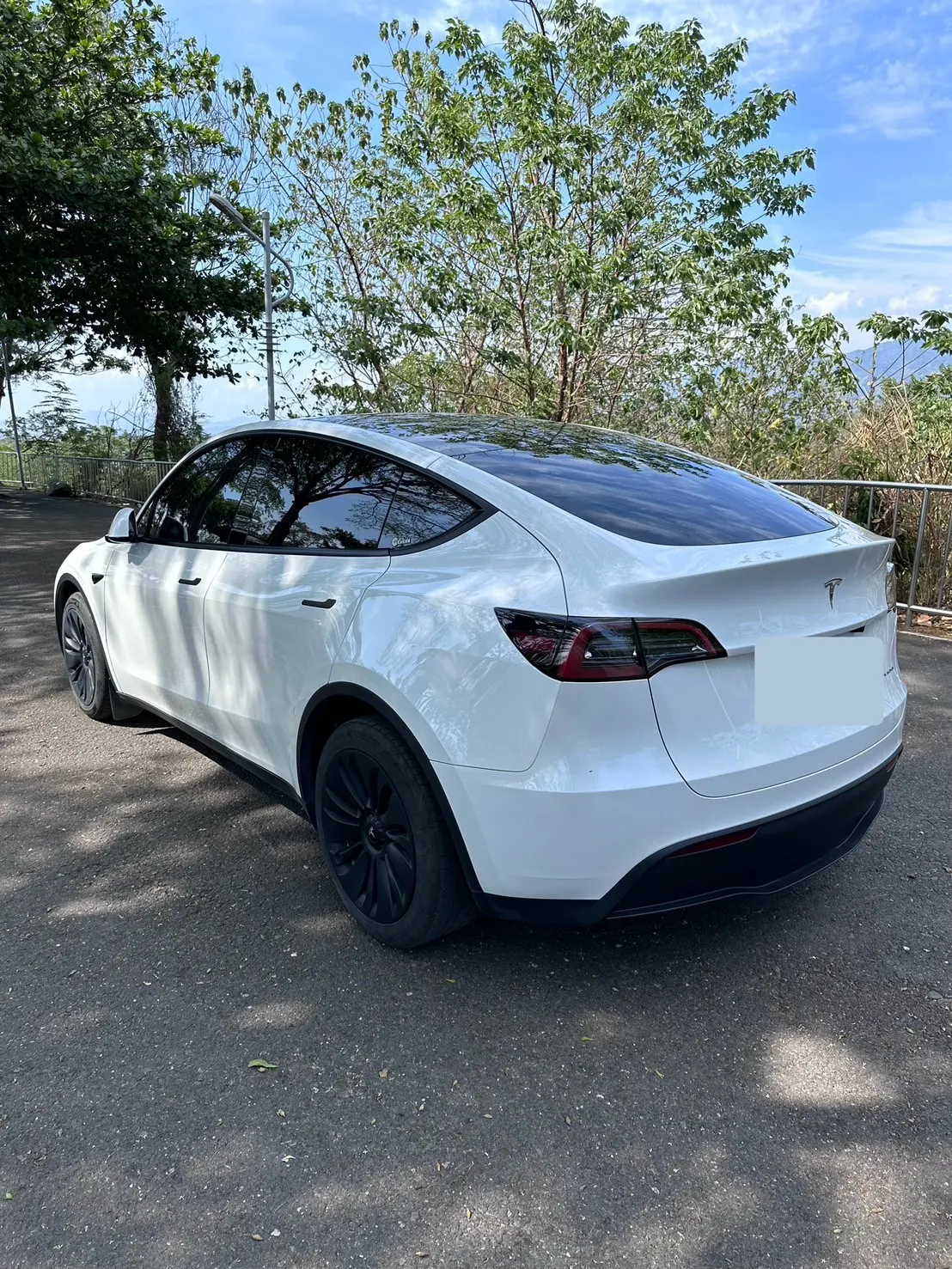 Tesla Model Y LR 照片 1