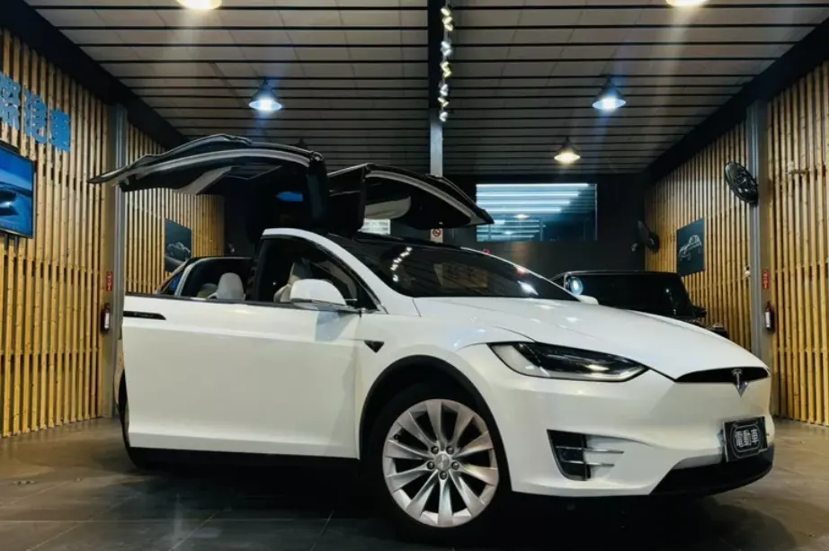 Tesla Model X 75D 照片 1