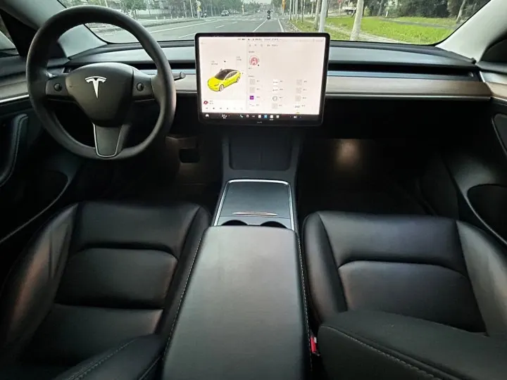 TESLA MODEL3 LR 照片 1