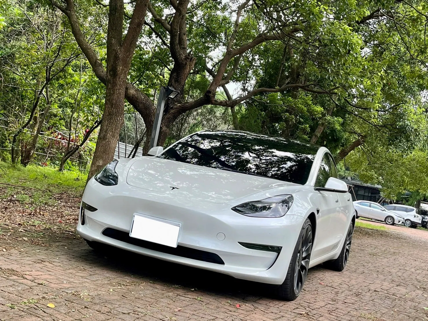 Tesla Model 3 Performance 照片 1
