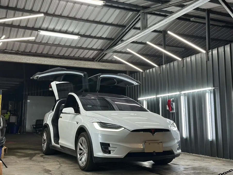 Tesla Model X P100DL