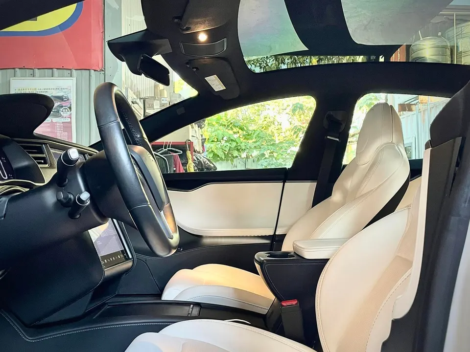 TESLA MODEL S P100DL