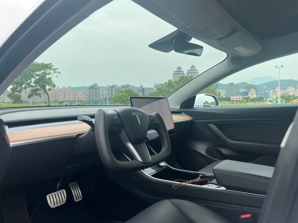 Tesla Model 3 Performance