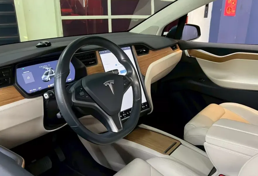 Tesla Model X 100D 照片 1