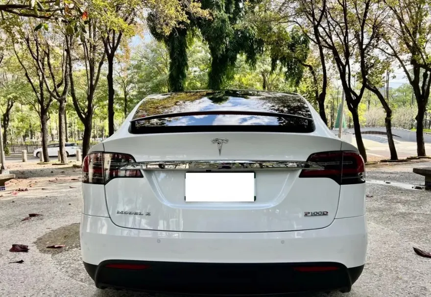 Tesla Model X P100D 照片 1