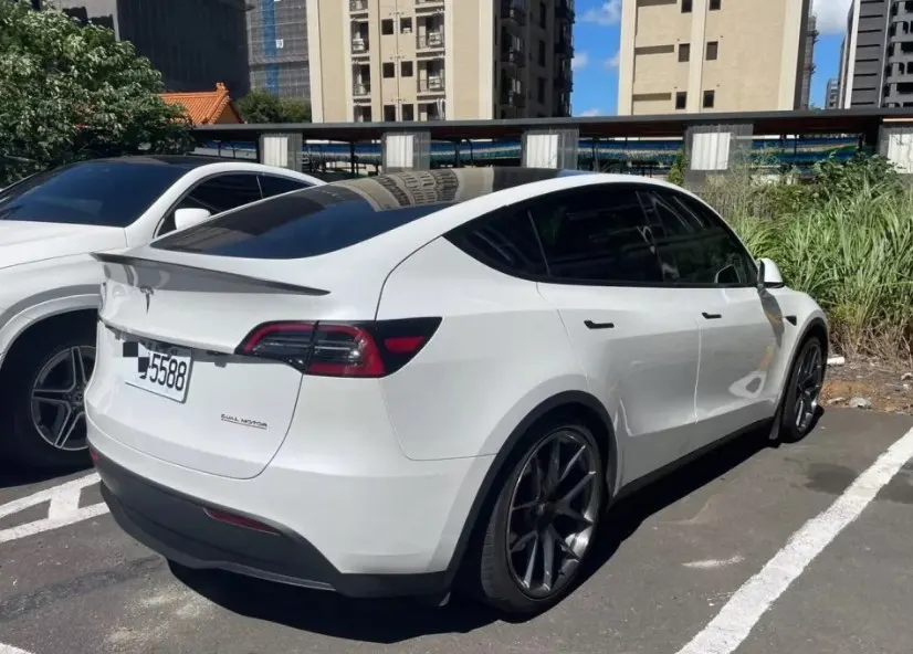 Tesla Model Y Performance