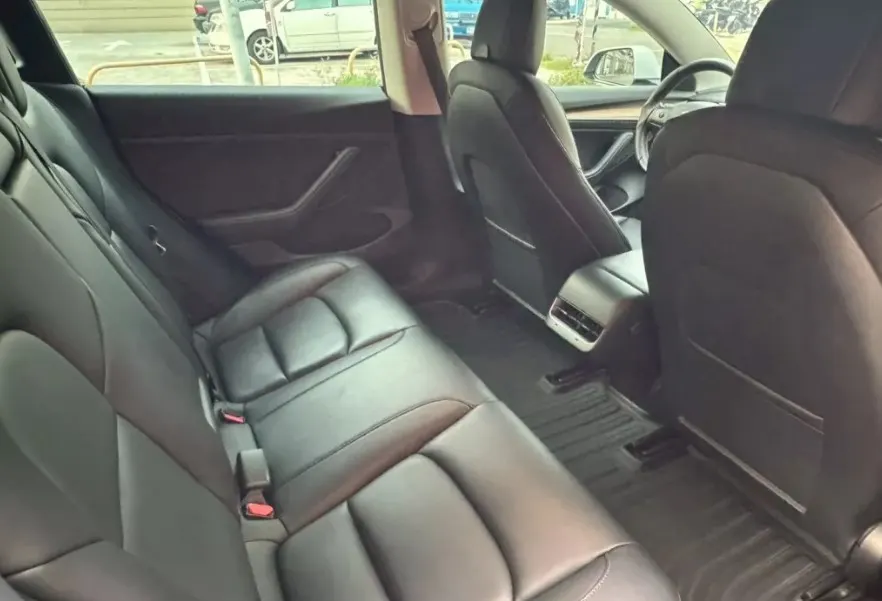 Tesla Model 3 Standard Range Plus 照片 1