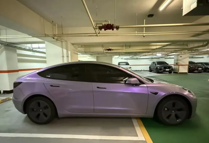 Tesla Model 3 Standard Range 照片 1