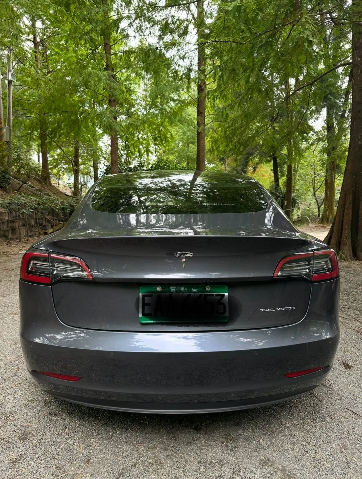 Tesla Model 3 LR 照片 1