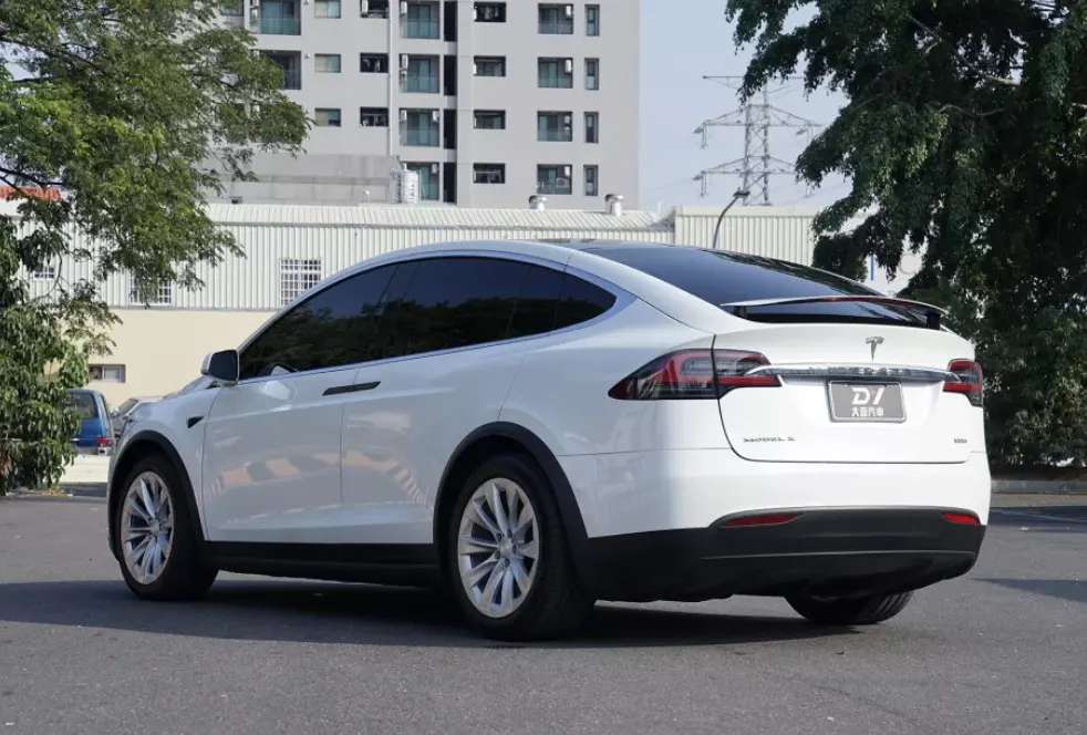 Tesla Model X 100D 照片 1
