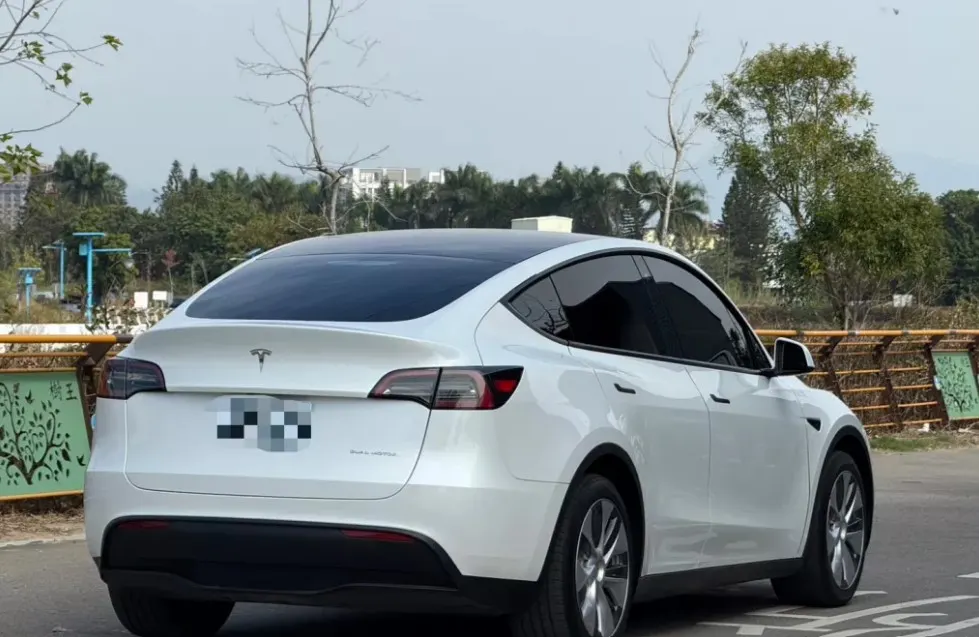 Tesla Model Y Long Range 照片 1