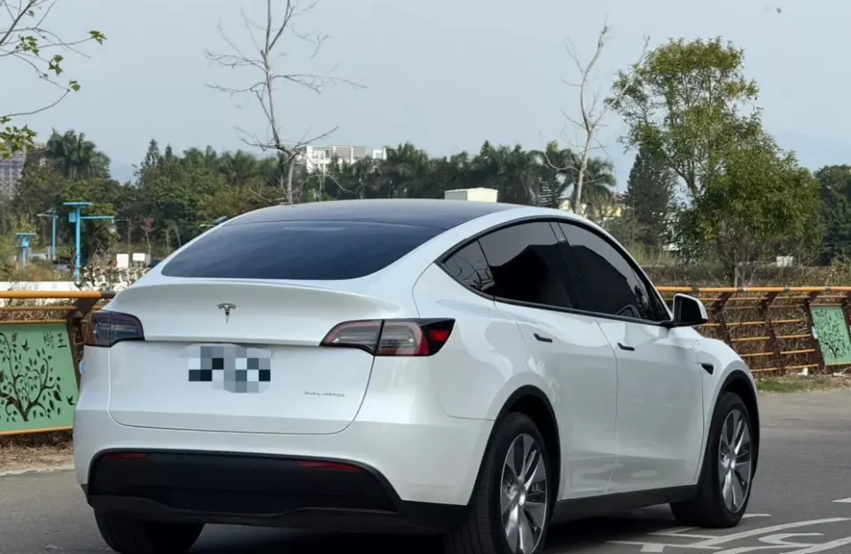 Tesla Model Y Long Range