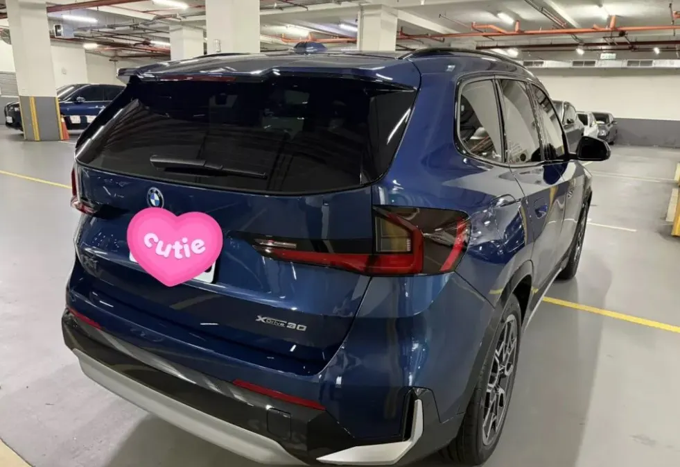 BMW iX1 xDrive30 xLine 照片 1