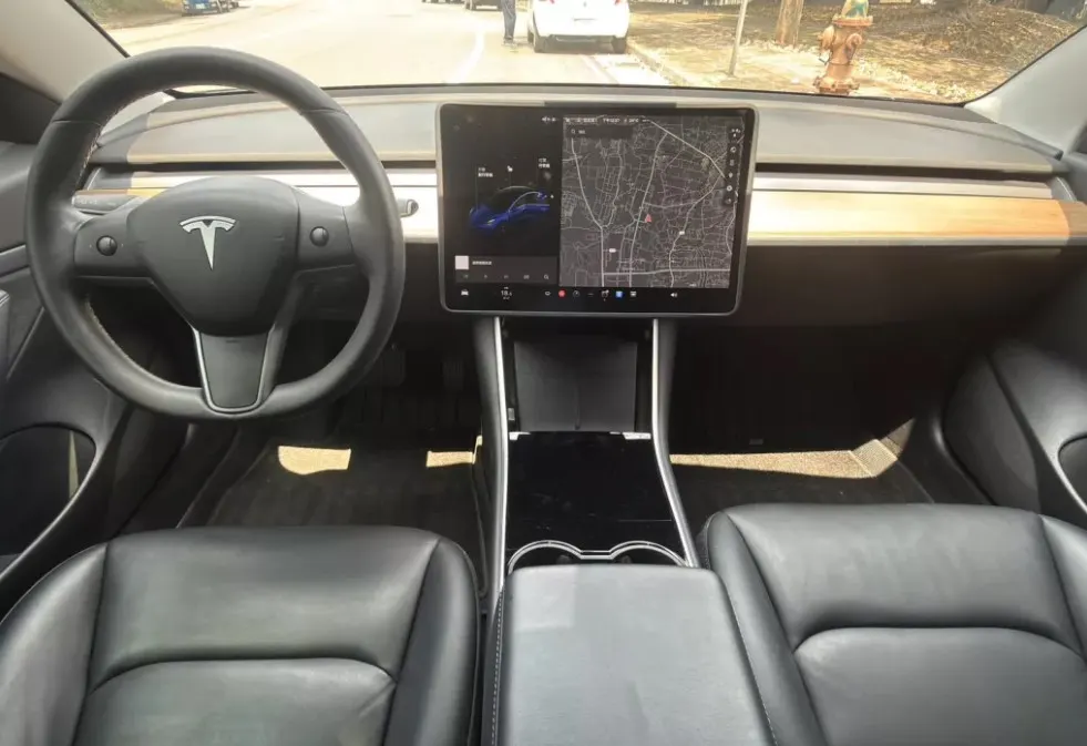 Tesla Model 3 Standard Range Plus 照片 1