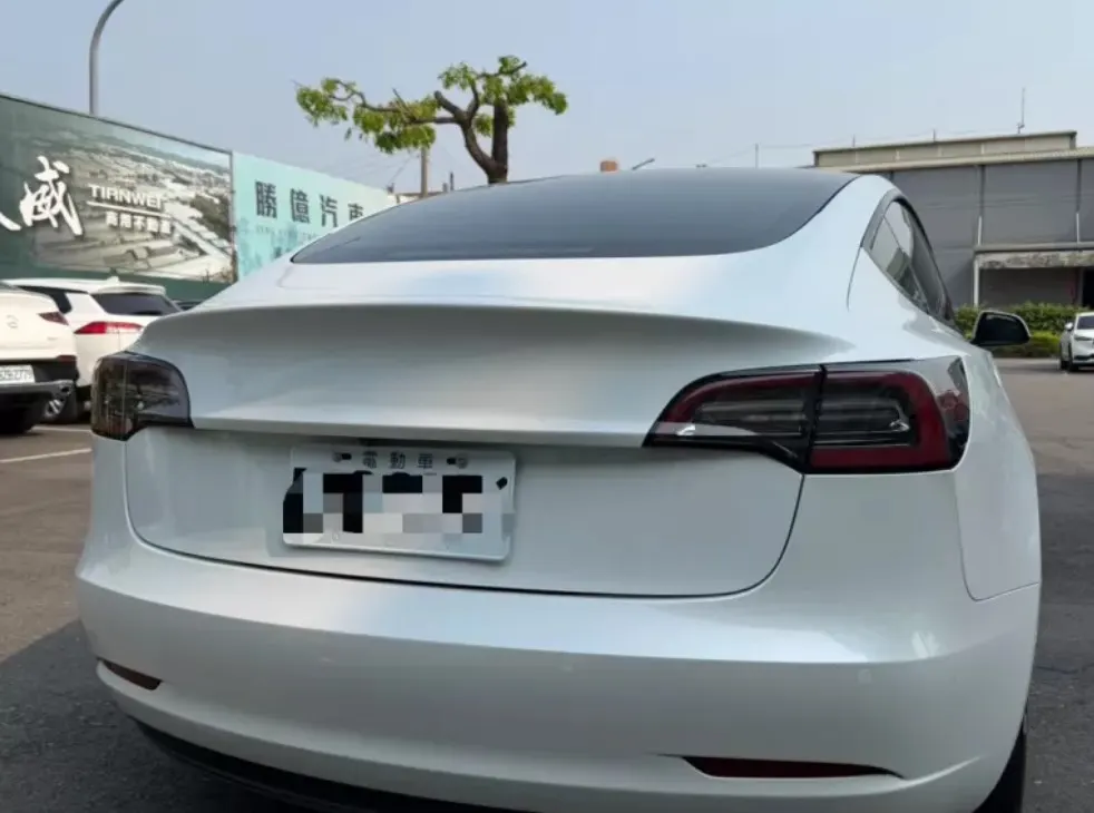 Tesla Model 3 Standard Range Plus 照片 1