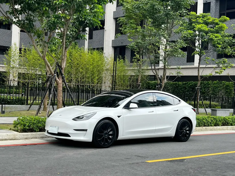 2022 Model 3 LR FSD 白內裝 原鈑件