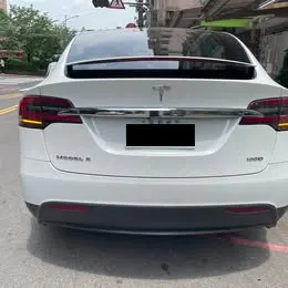 Tesla Model X 100D 2017 照片 1