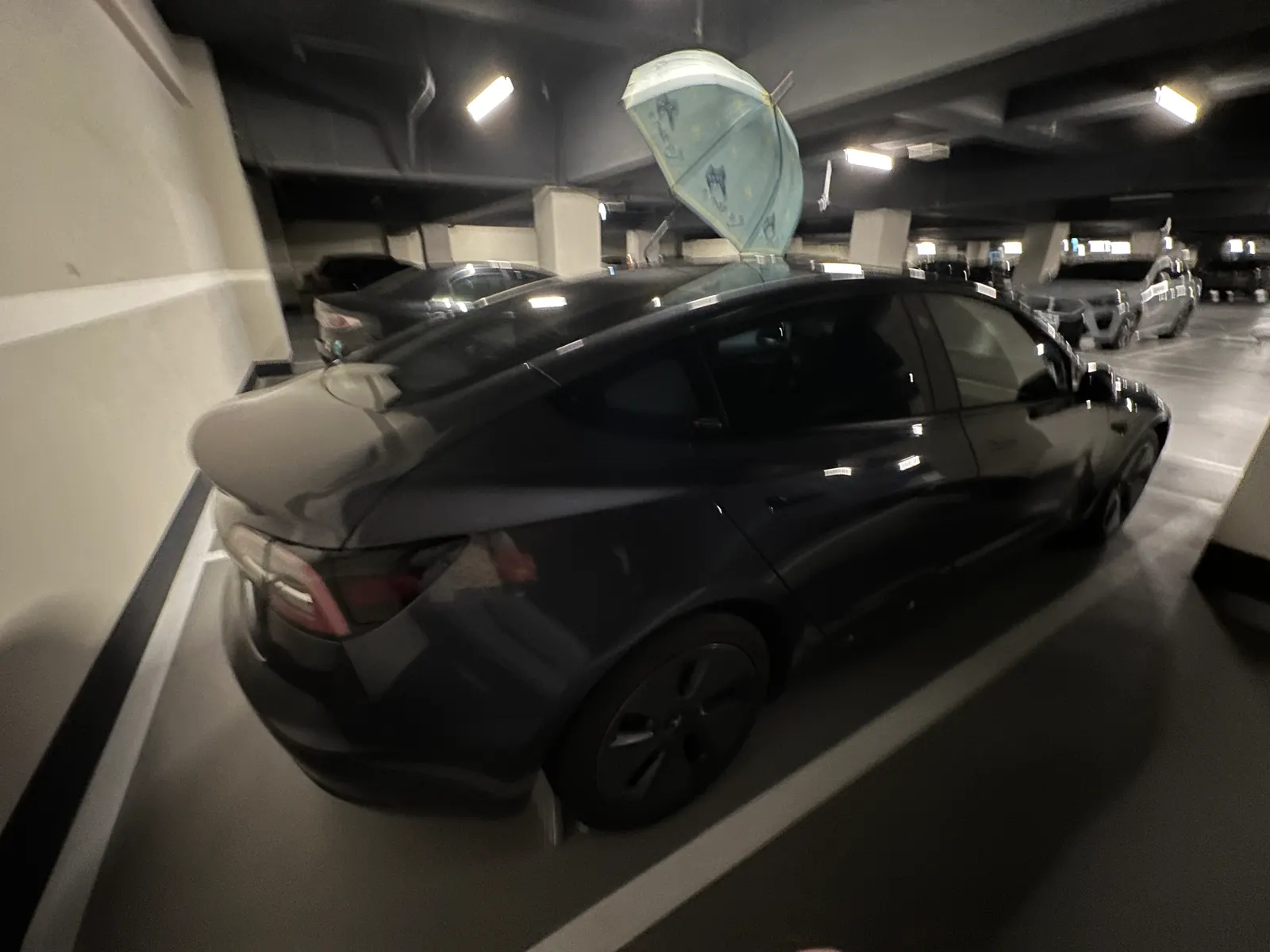 Tesla model 3 SR 照片 1