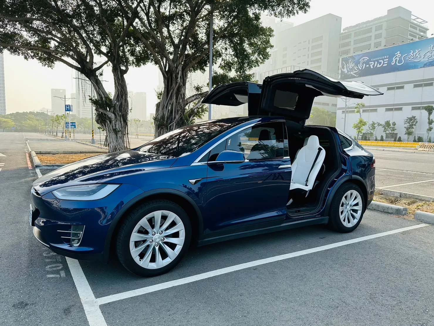 Tesla Model X 100D 照片 1