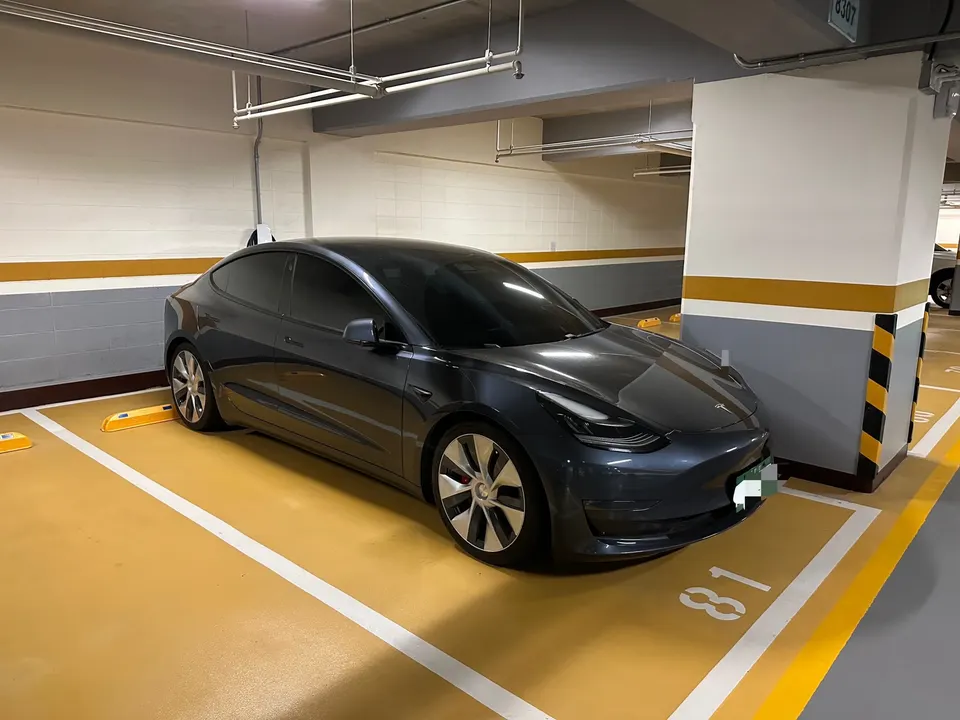Tesla Model 3 Performance