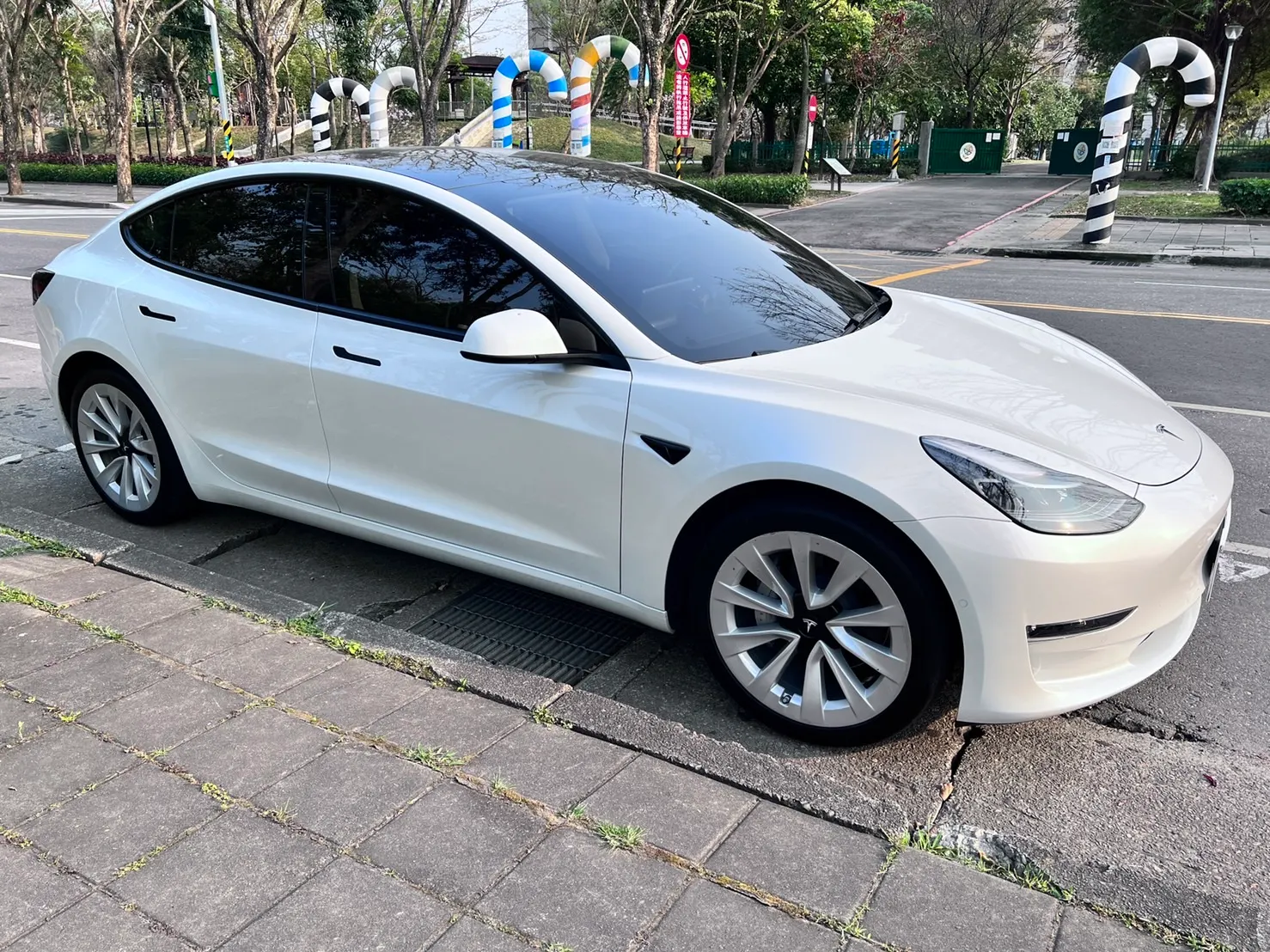 Tesla Model 3 LR 照片 1