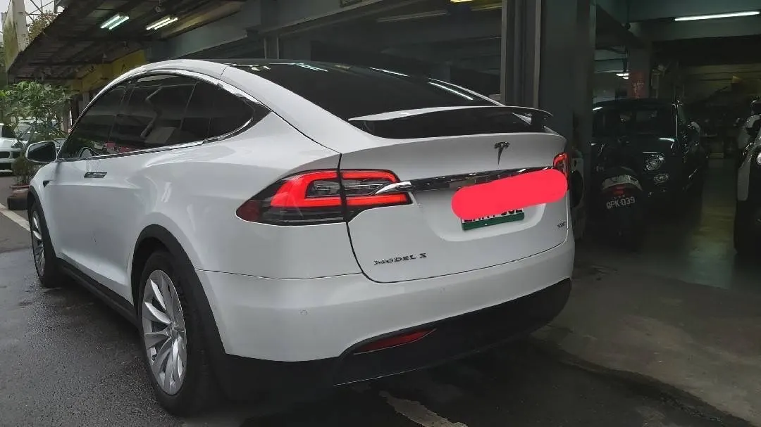 Tesla Model X 100D 照片 1