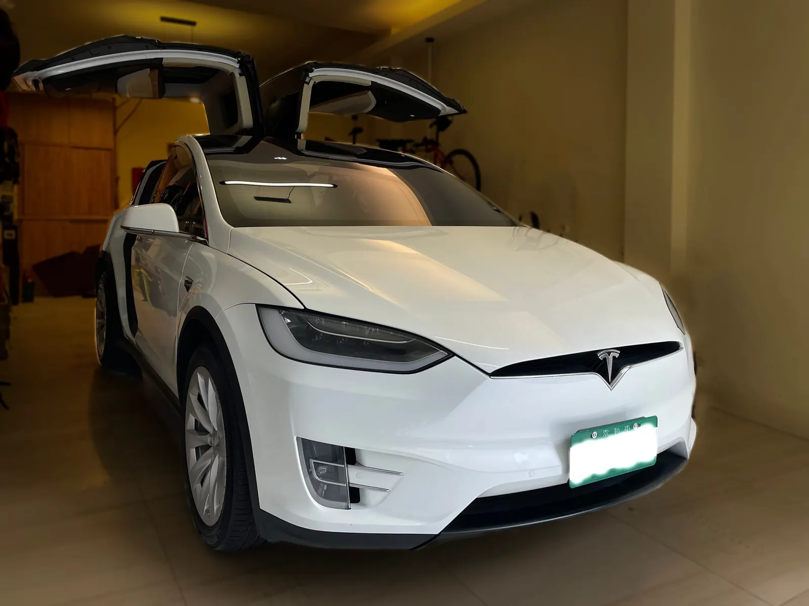 Tesla Model X 100D 照片 1