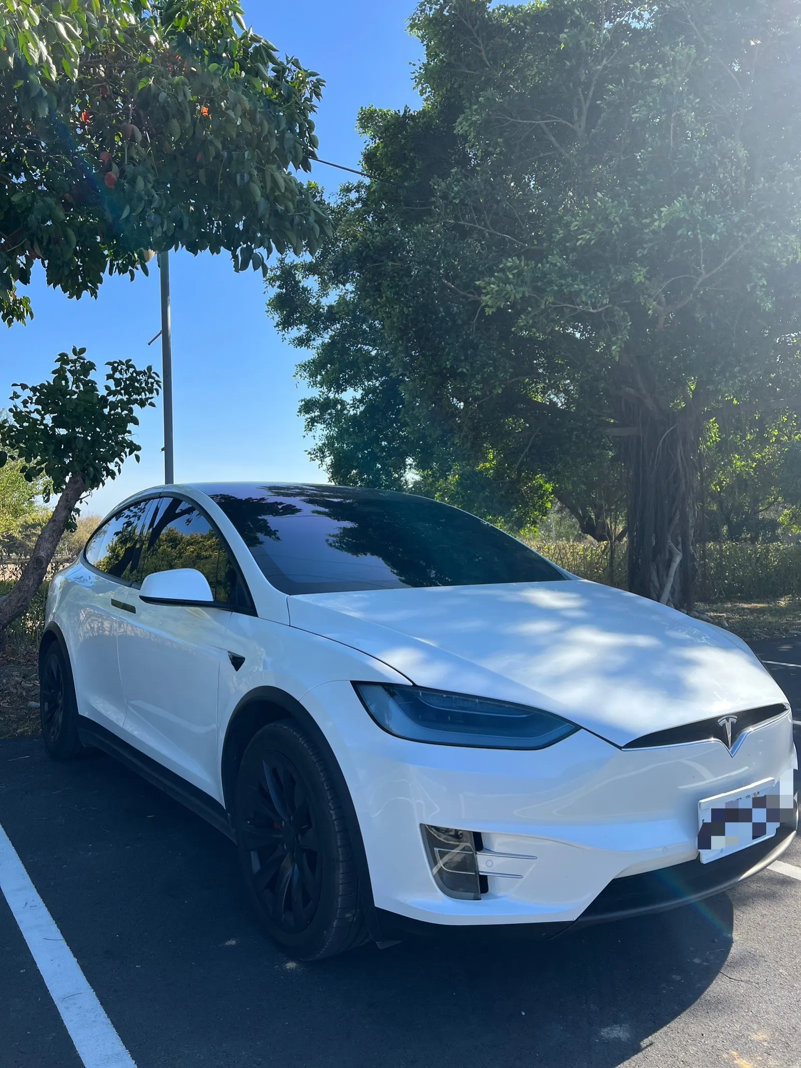 Tesla Model X Performance 照片 1