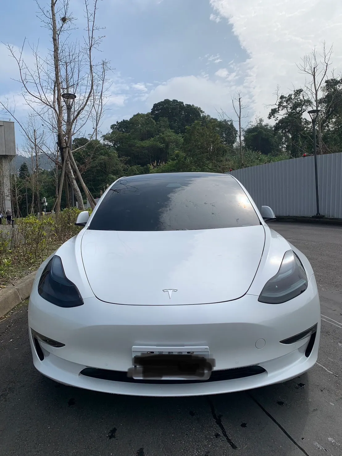 Tesla Model 3 LR 照片 1